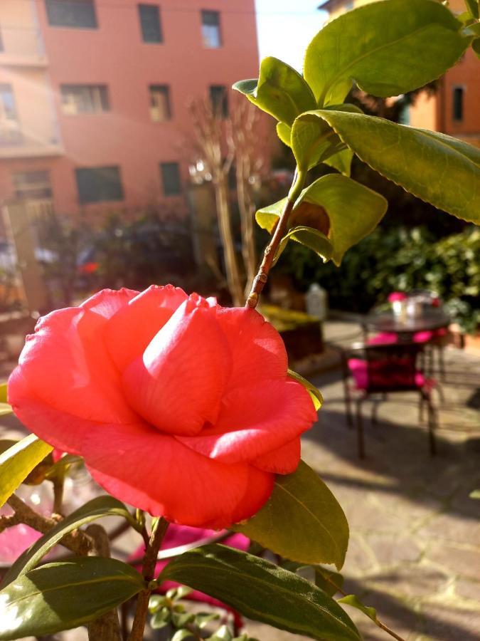 Hotel Arcoveggio بولونيا المظهر الخارجي الصورة